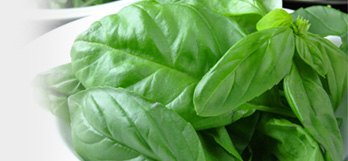 Herb �n�[�u